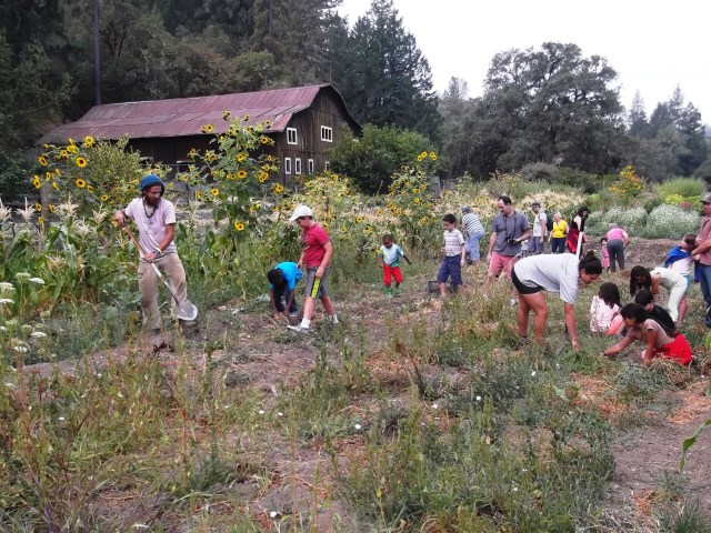 working-in-the-garden
