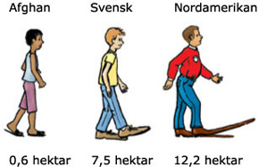 afghanamerikaneurope-fot
