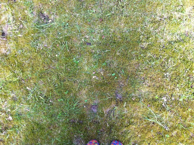 Jonathan klippte gräset - mossan