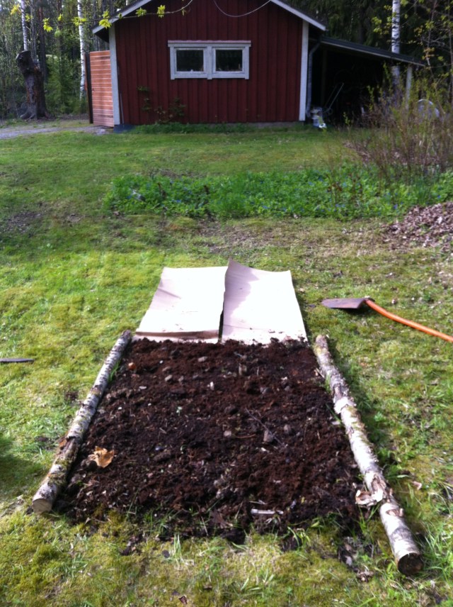 Björkkanter håller allt på plats