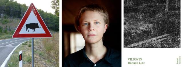 Rosinante profilbild 4.5 2016